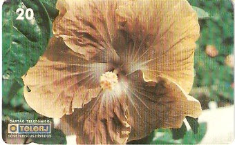 RJ-0458 - Hibiscus - 08/20