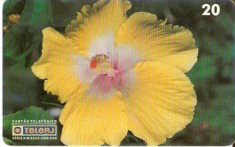 RJ-0453 - Hibiscus - 03/20