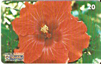 RJ-0454 - Hibiscus - 04/20