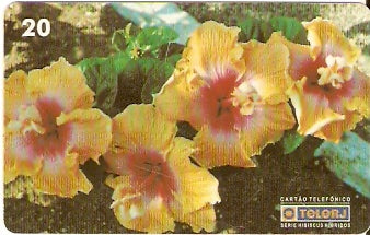 RJ-0455 - Hibiscus - 05/20