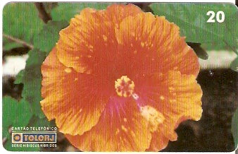 RJ-0456 - Hibiscus - 06/20