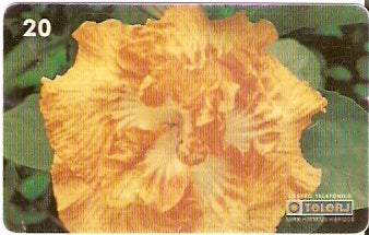 RJ-0457 - Hibiscus - 07/20