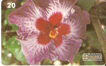 RJ-0459 - Hibiscus - 09/20
