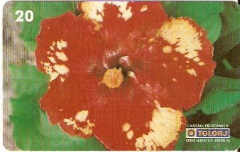 RJ-0460 - Hibiscus - 10/20