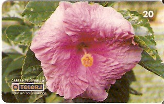 RJ-0462 - Hibiscus - 12/20