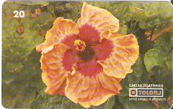 RJ-0463 - Hibiscus - 13/20