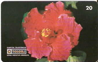 RJ-0468 - Hibiscus B1 - 16/20