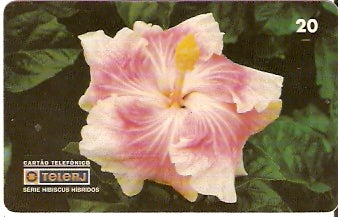 RJ-0470 - Hibiscus B1 - 17/20