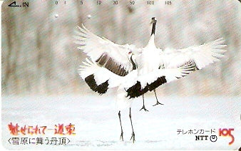JAP-430-213
