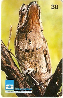 GO-116 - Urutau