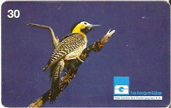 GO-114 - Pica-Pau do Campo