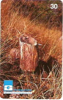 GO-147 - Pedra de Fogo