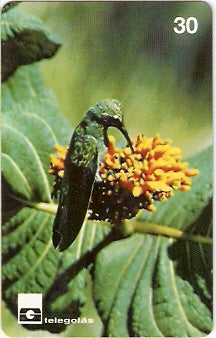 GO-162 - Cerrado de Goiás - 01/12