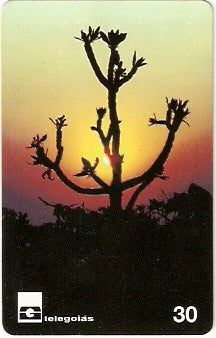 GO-163 - Cerrado de Goiás - 02/12