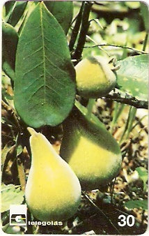 GO-164 - Cerrado de Goiás - 03/12