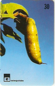 GO-171 - Cerrado de Goiás - 04/12