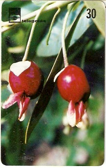 GO-172 - Cerrado de Goiás - 05/12