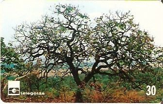 GO-174 - Cerrado de Goiás - 07/12