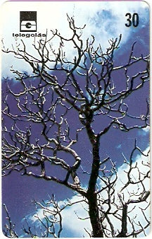 GO-176 - Cerrado de Goiás - 08/12 - D2