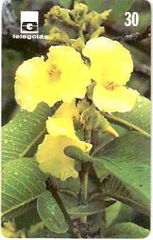 GO-201 - Cerrado de Goiás - 09/12