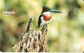 GO-356 - Martim-Pescador