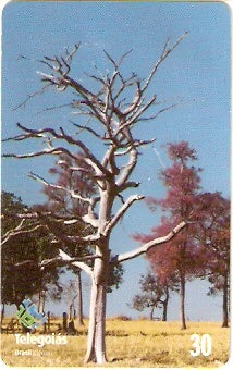 GO-396 - Graça da Natureza