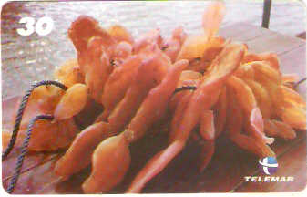 AP-080 - Grude de Gurijuba