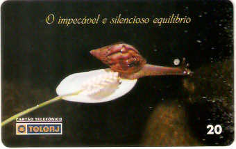 RJ-0678M - O Impecável Equilibrio