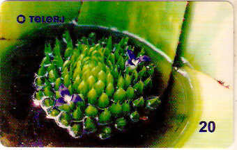 RJ-0676M - Bromélia